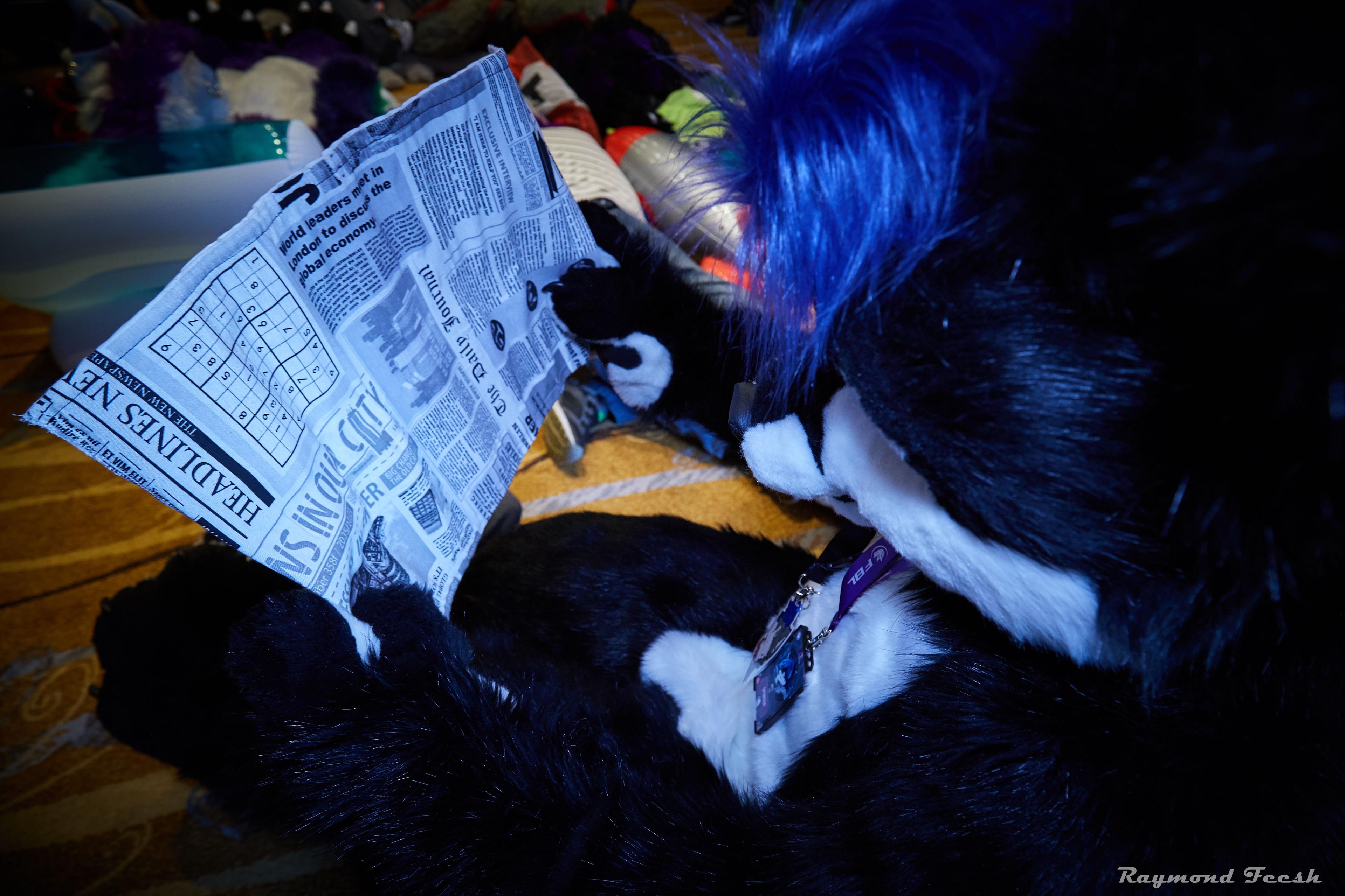 A fursuiter reading a newspaper